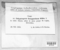 Calyptospora columnaris image